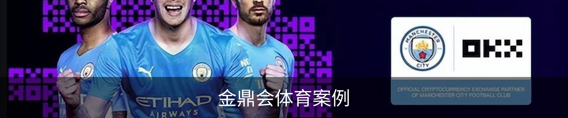 金鼎会体育案例